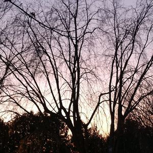 Meet your Posher, Riley